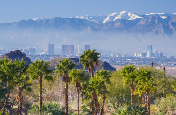 Las Vegas skyline with snowcapped mountains in the background and palm trees in the foreground.