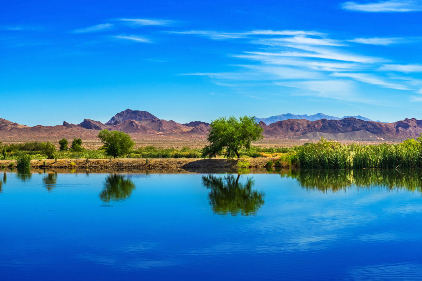 Clark County Wetlands Park