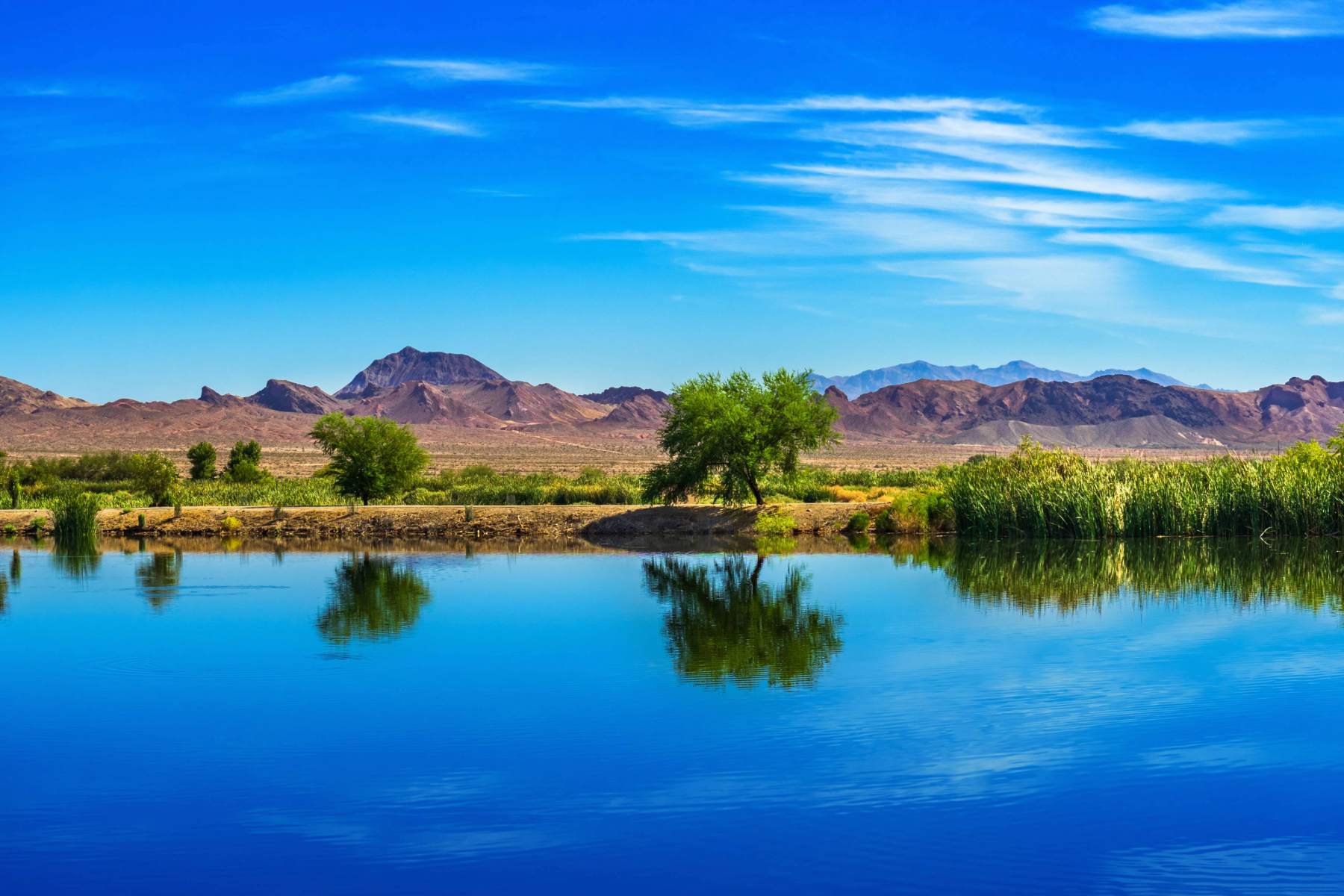 Clark County Wetlands Park 