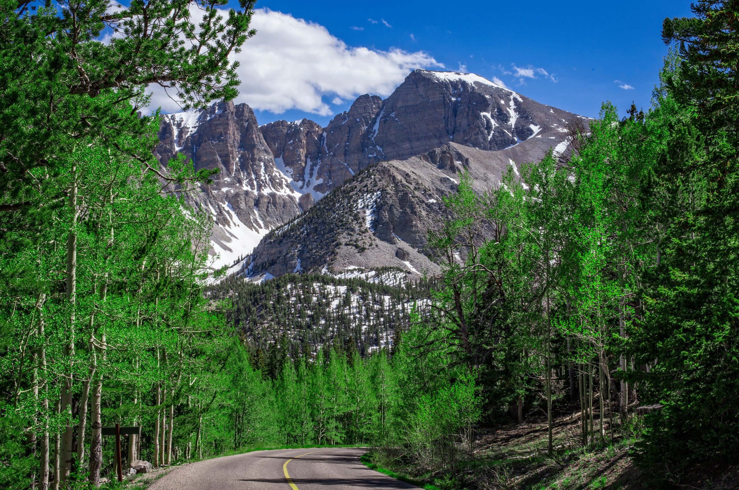 outdoor recreation on the road to Wheeler Peak in Great Basin National Park