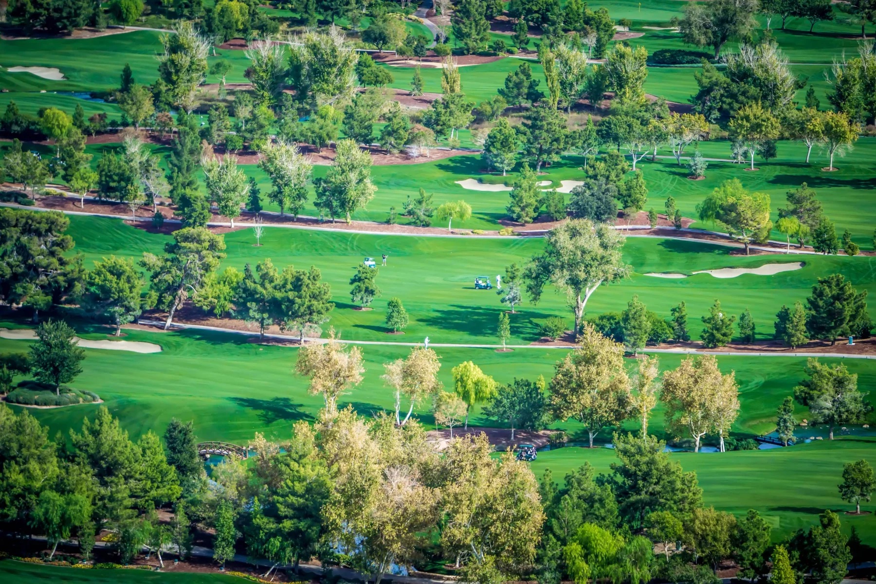 Green golf course near Las Vegas