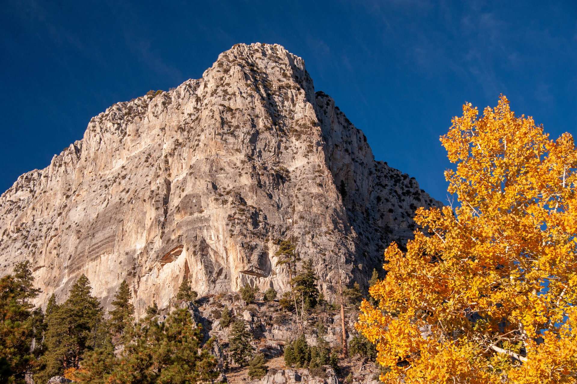 Cathedral Rock Mount Charleston in fall