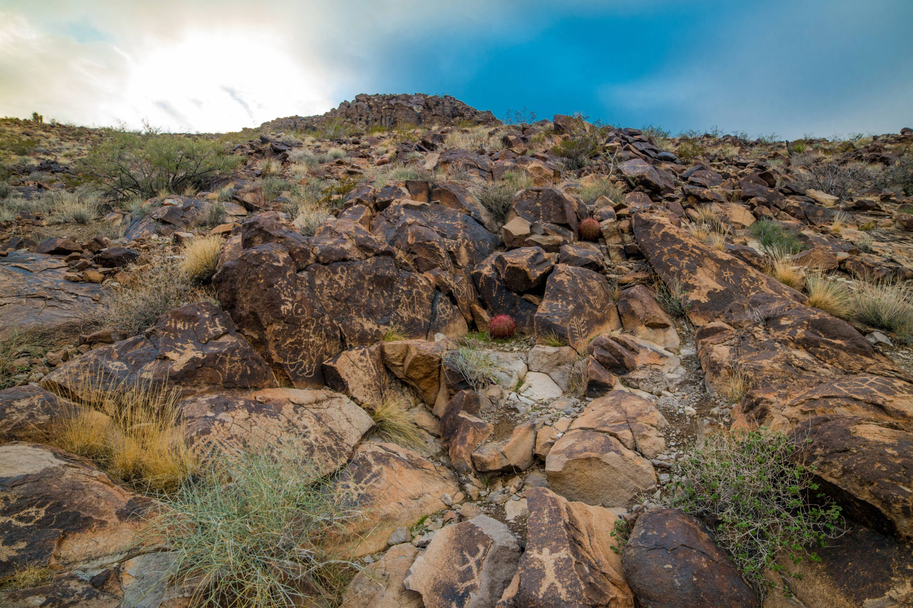 Sloan Canyon National Conservation Area