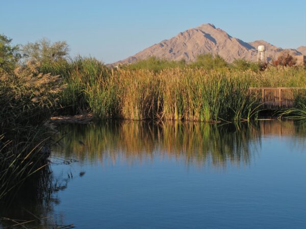 Clark County Wetlands Park with grass and mountains in the background